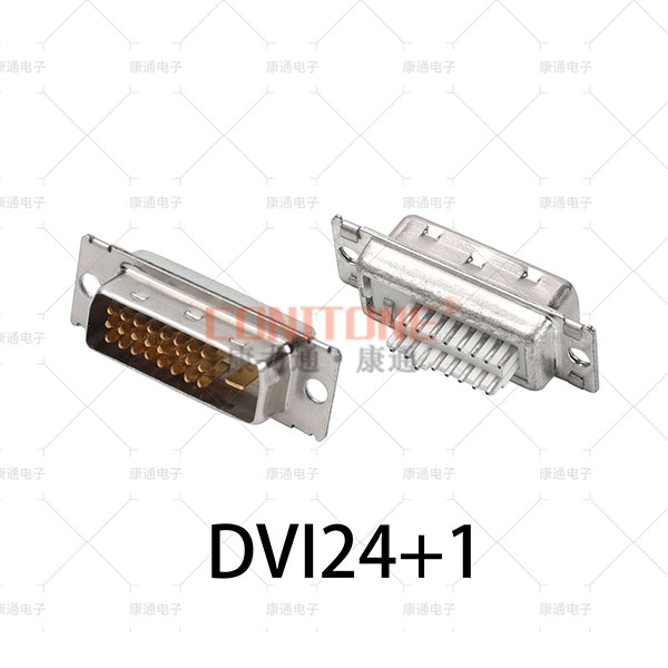 DVI24+1